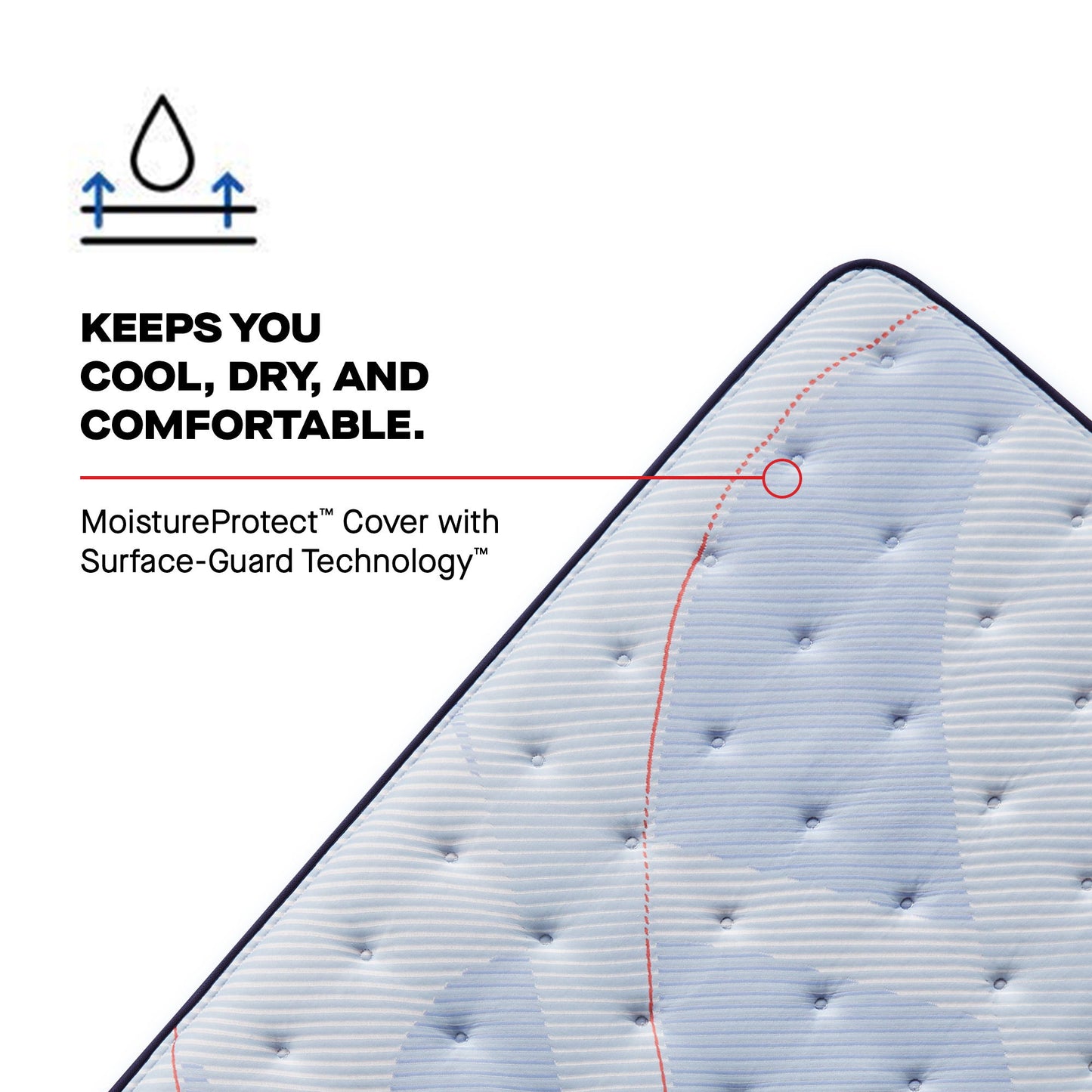 Posturepedic Plus - Patterson II Euro Pillow Top Soft - Twin