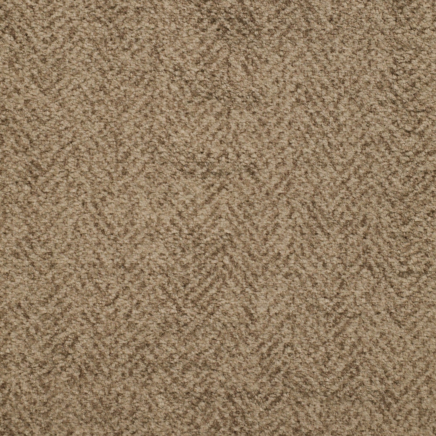 Trifecta - P3 Recliner With Heat Massage, Zero Gravity, Memory Foam - Sefi Puppy