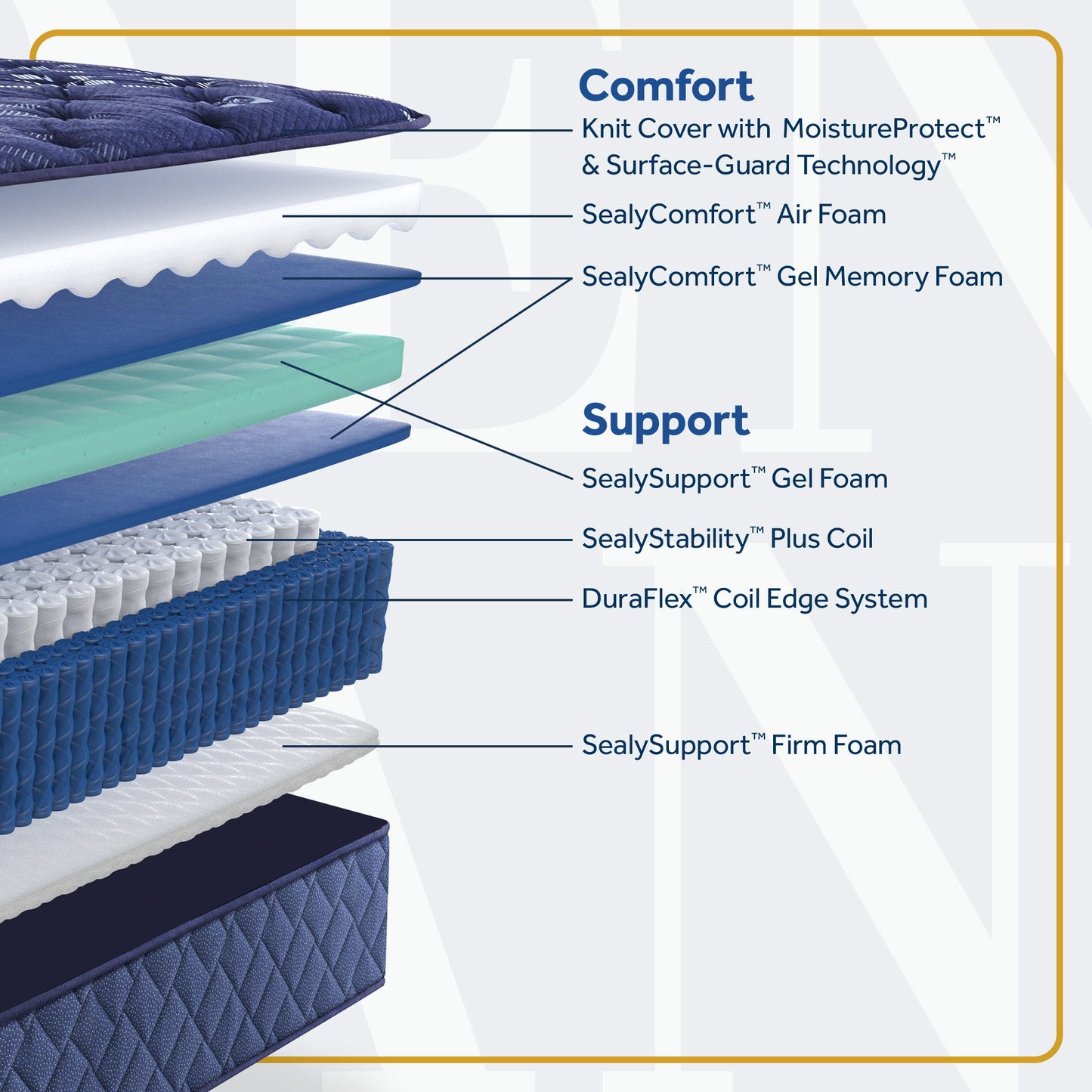 Forsyth Park - Medium Tight Top Mattress