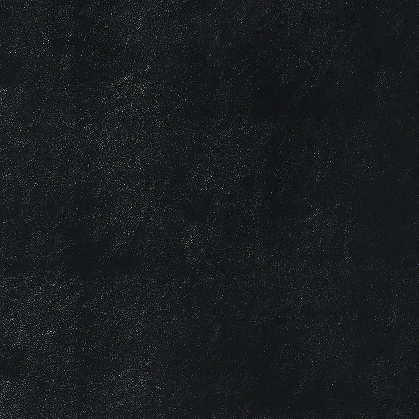 Meridian - Dining Side Chair (Set of 2)