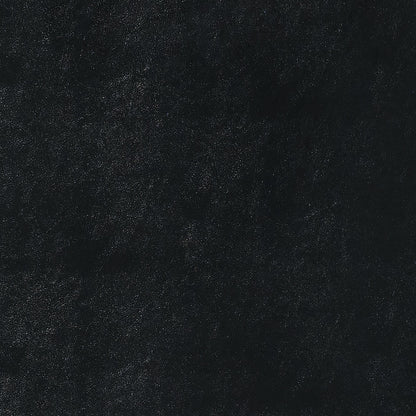 Meridian - Dining Side Chair (Set of 2)