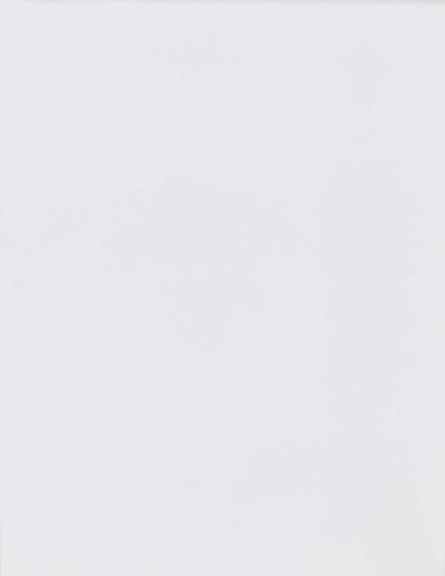 Horizons - 2 Drawers Nightstand - Pure White / Natural Oak