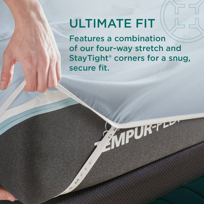 Linens - Tempur Luxe Egyptian Cotton Pillowcase Set